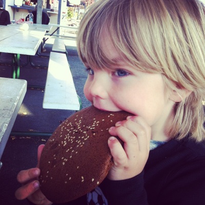 Ollie enjoying his gluten free ginger cookie from Blue Heron Bakery.  His choice, however,no matter how many times I told him, I think he still thought it was a giant chocolate cookie
