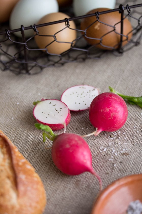 A French Country Picnic