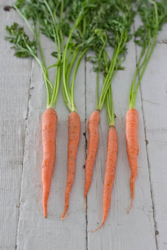 Carrots